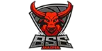 BSE-Paintball Logo